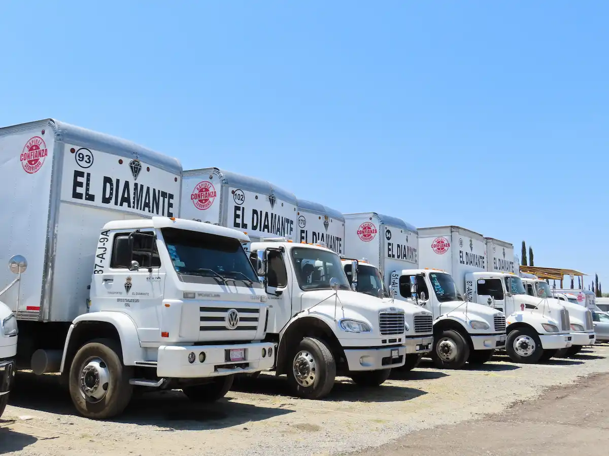 Primera flota de Transportes El Diamante — expansión 2019-2021